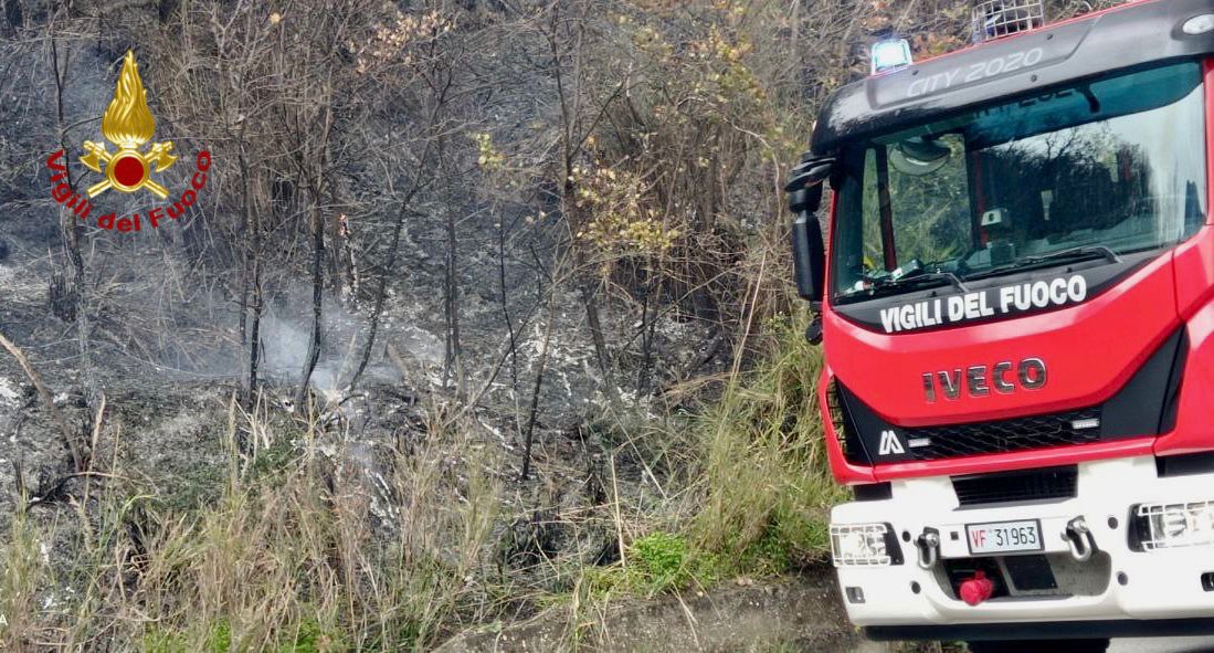 Incendi di vegetazione e sterpaglie nel Palermitano, decine di interventi dei vigili del fuoco Incendi di vegetazione e sterpaglie nel Palermitano, decine di interventi dei vigili del fuoco