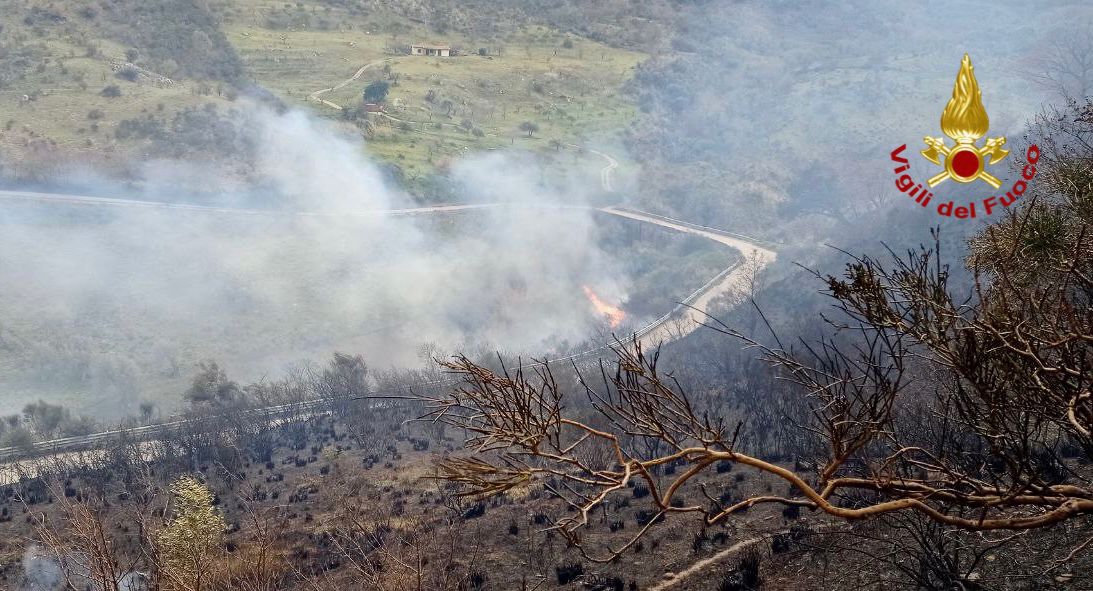 Incendi di vegetazione e sterpaglie nel Palermitano, decine di interventi dei vigili del fuoco Incendi di vegetazione e sterpaglie nel Palermitano, decine di interventi dei vigili del fuoco