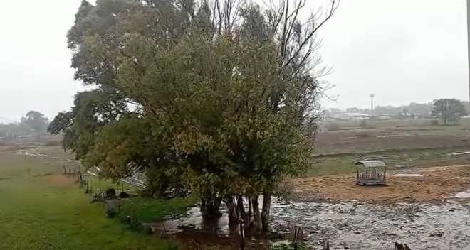 Violenti temporali e grandinate lungo la Penisola, danni incalcolabili alle coltivazioni