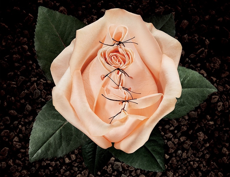 Mutilazioni genitali femminili, un dramma “dimenticato”