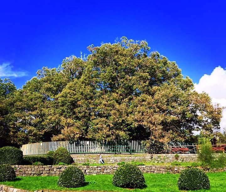 È arrivata la Primavera: tornano le Giornate Fai