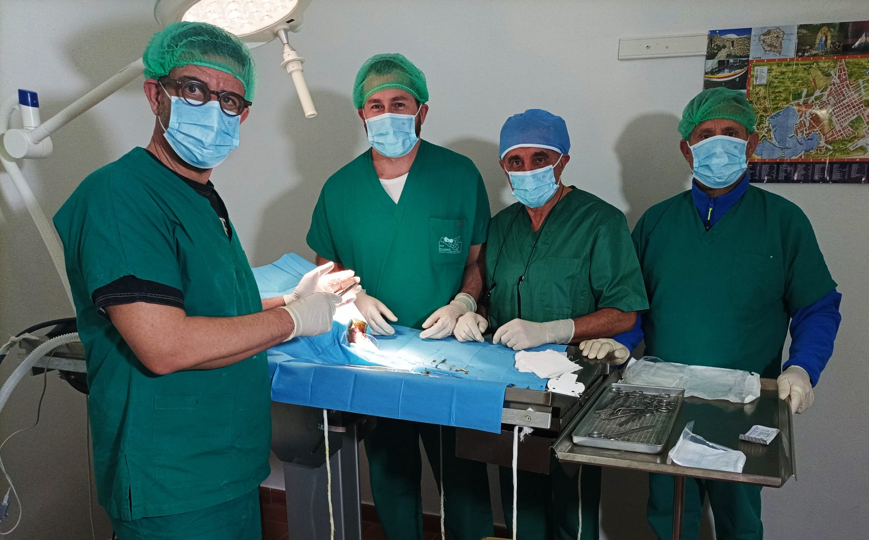 Lampedusa, oltre 170 sterilizzazioni nella settimana dedicata alla lotta al randagismo