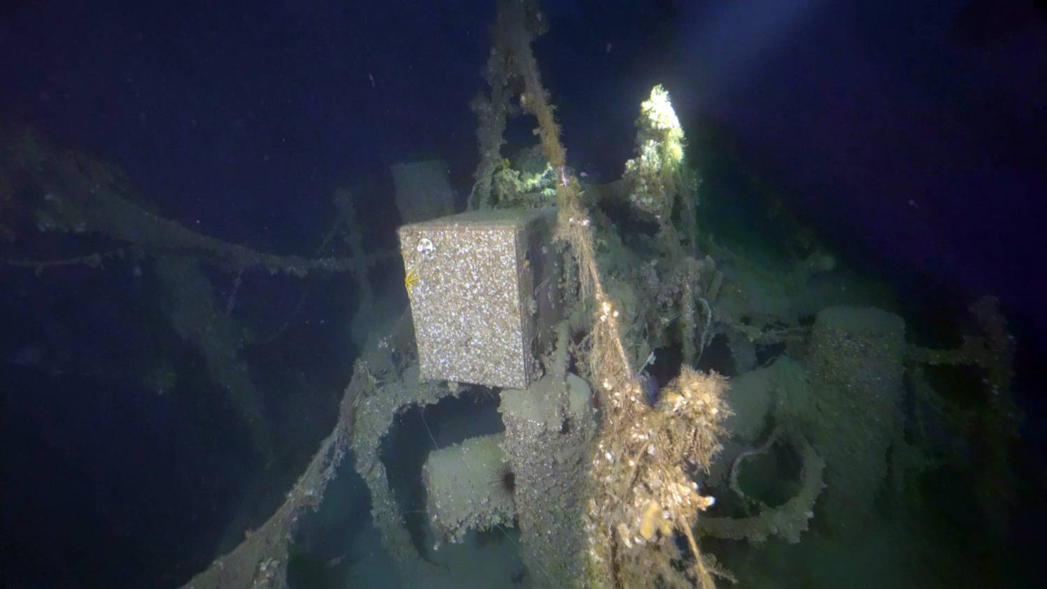 Brucoli, ritrovato il rimorchiatore Curzola affondato 90 anni fa