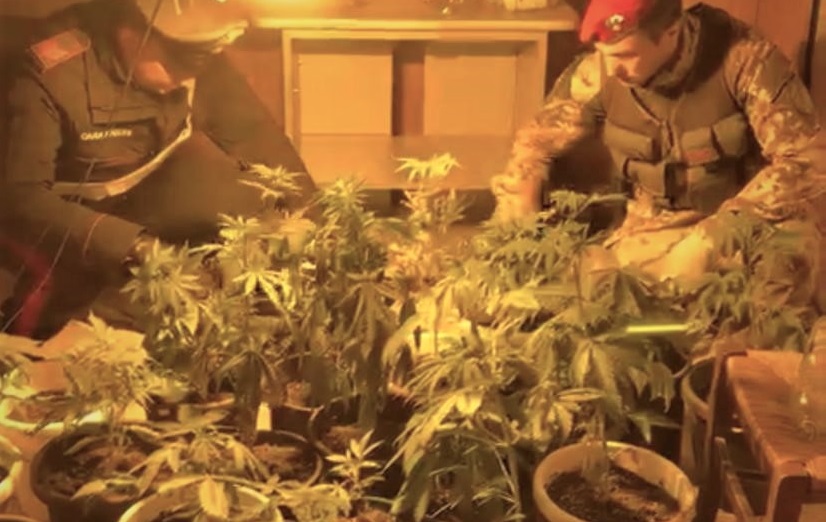 La casa popolare occupata abusivamente per “costruire” serra di marijuana: un arresto