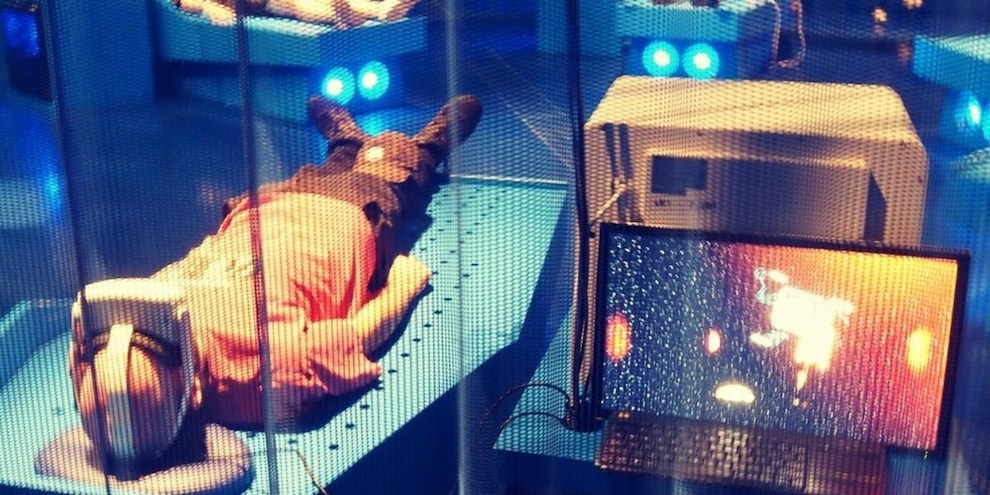 Il simulatore della morte: ecco cosa succede quando stai per morire