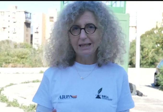 Pane e malformazioni nel triangolo della morte Pane e malformazioni nel triangolo della morte