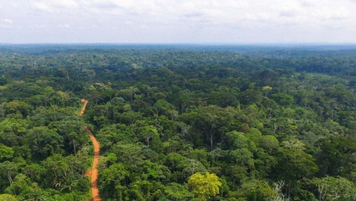 Ambiente, in Cina piantate foreste per 3,83 milioni di ettari