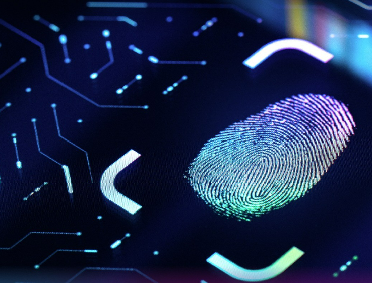 Lavoro in Sicilia, Engineering seleziona risorse per team aziendali: ecco come candidarsi