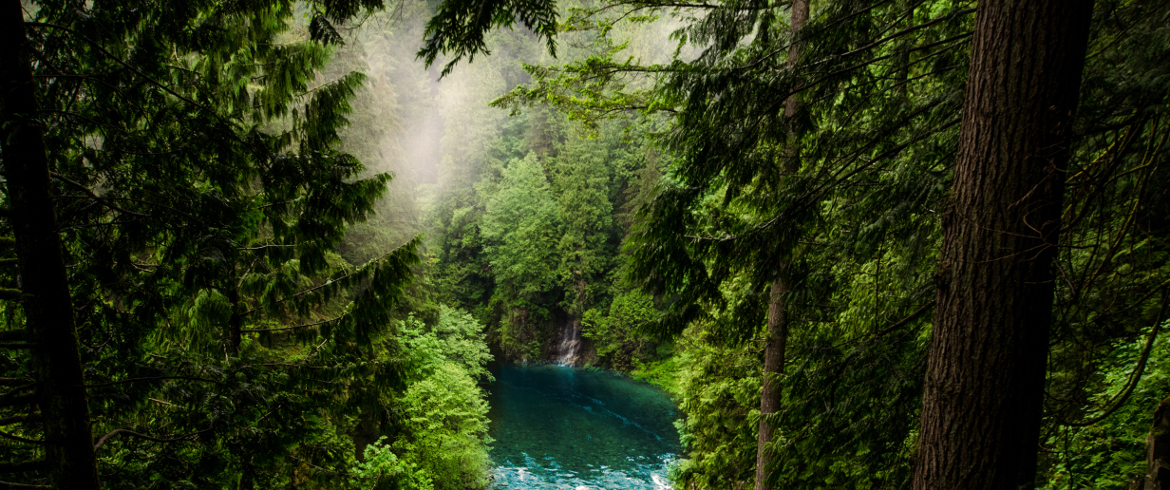 Amazzonia, uomo sopravvive da solo nella foresta per 31 giorni