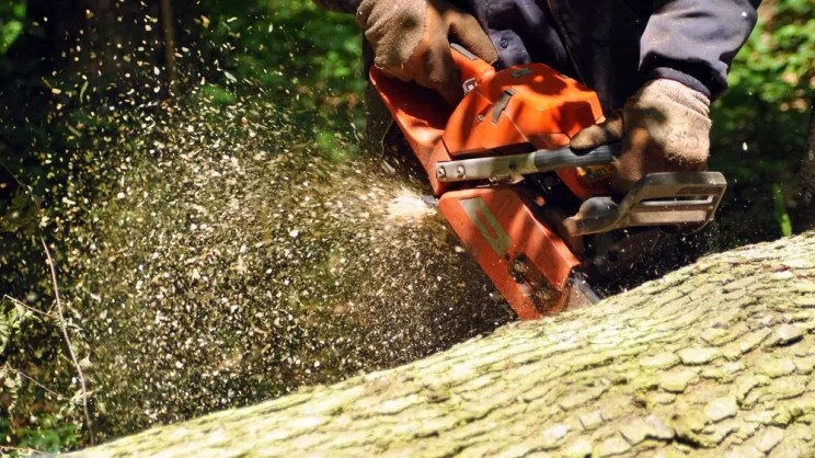 Cade dalla scala e uccide accidentalmente la moglie con la motosega