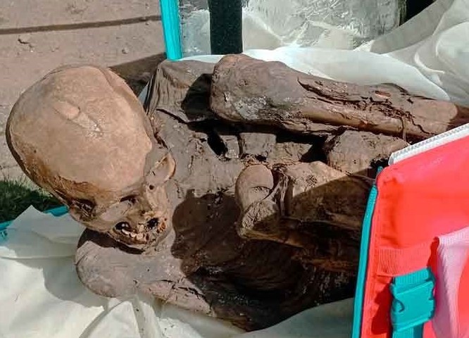 Rider nasconde mummia di 600-800 anni nello zaino, l’incredibile scoperta in Perù