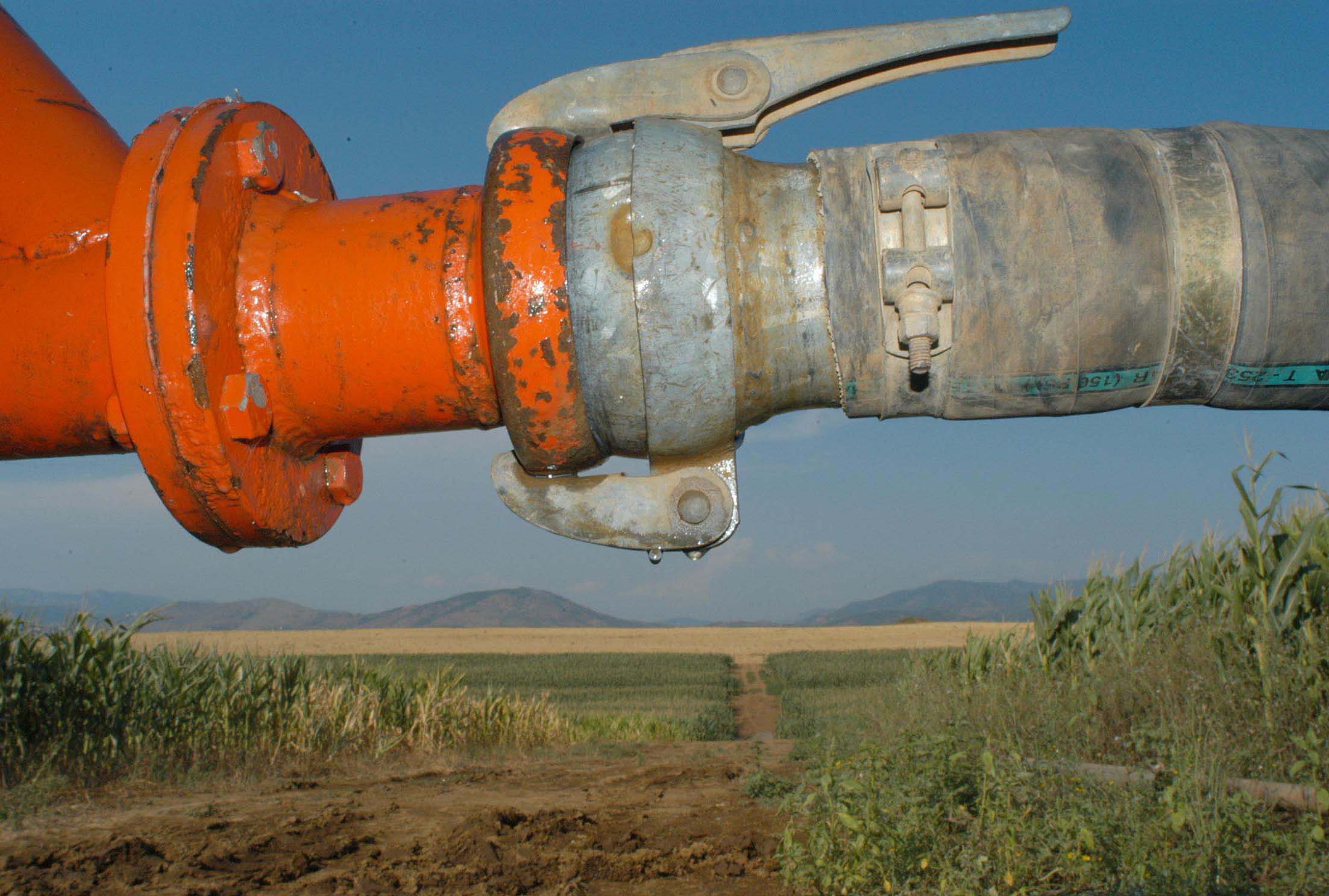 Siccità, in Sicilia piove… dai buchi delle reti idriche