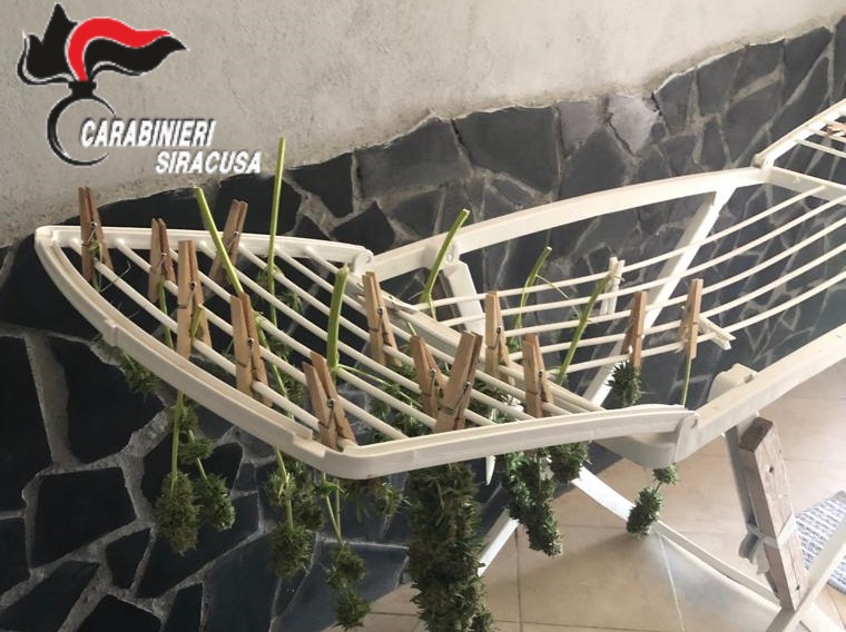 La marijuana “stesa” al posto dei vestiti e il furto d’energia: scatta l’arresto