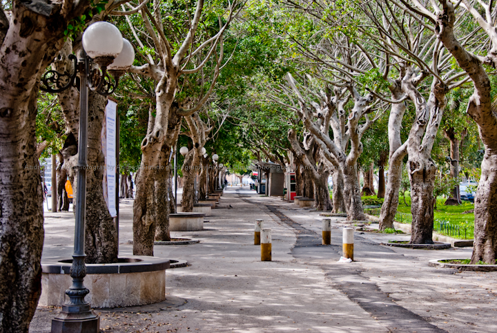 Augusta riqualifica il suo “polmone verde”