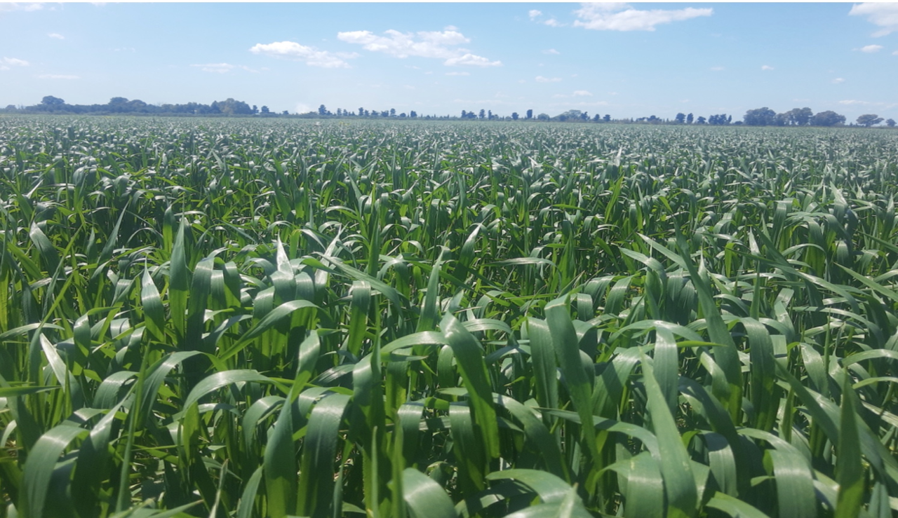 Agricoltura, bando per i siti della Rete natura