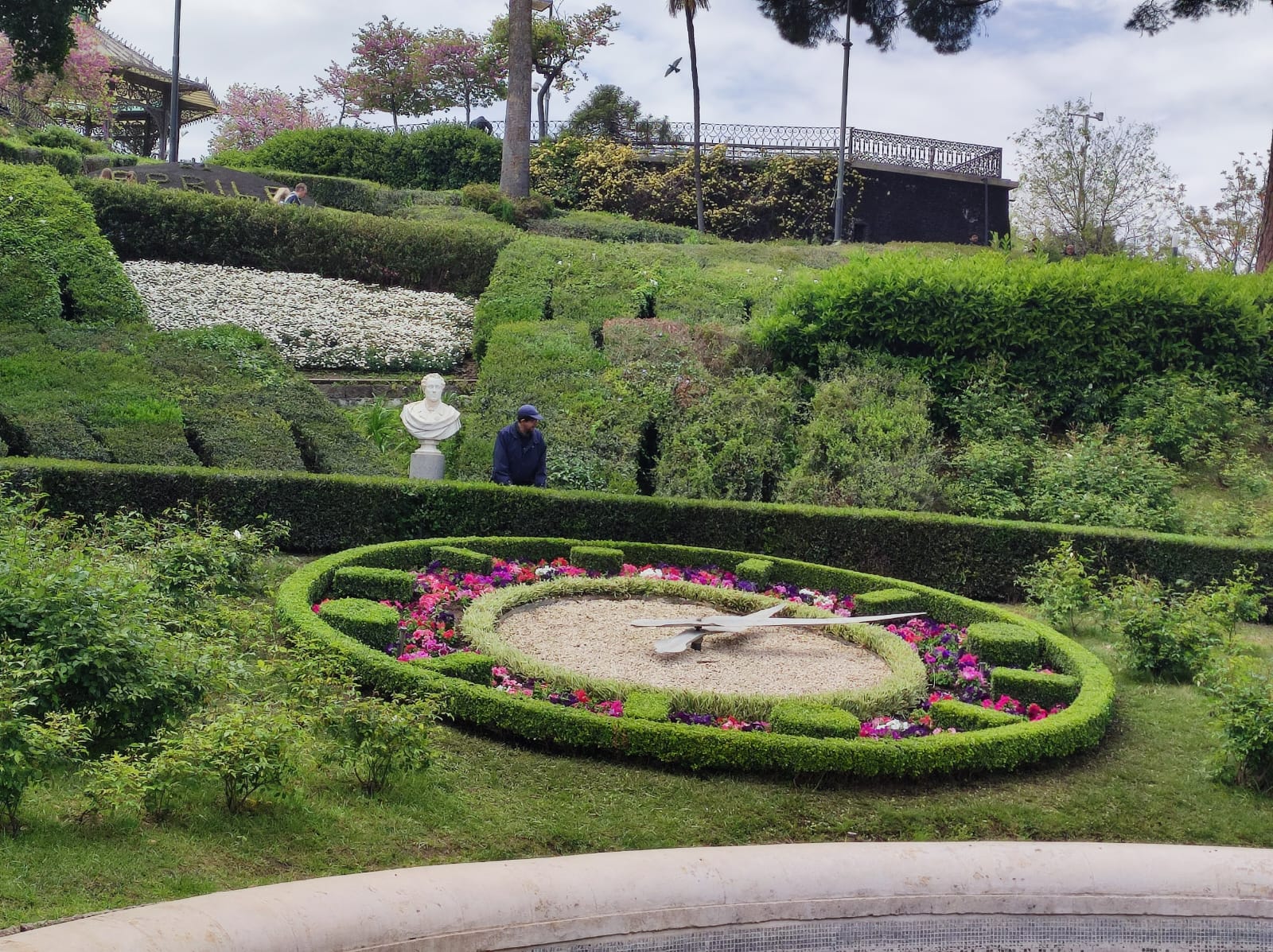I concerti alla Villa Bellini: organizzatori donano 800 piantine allo storico giardino