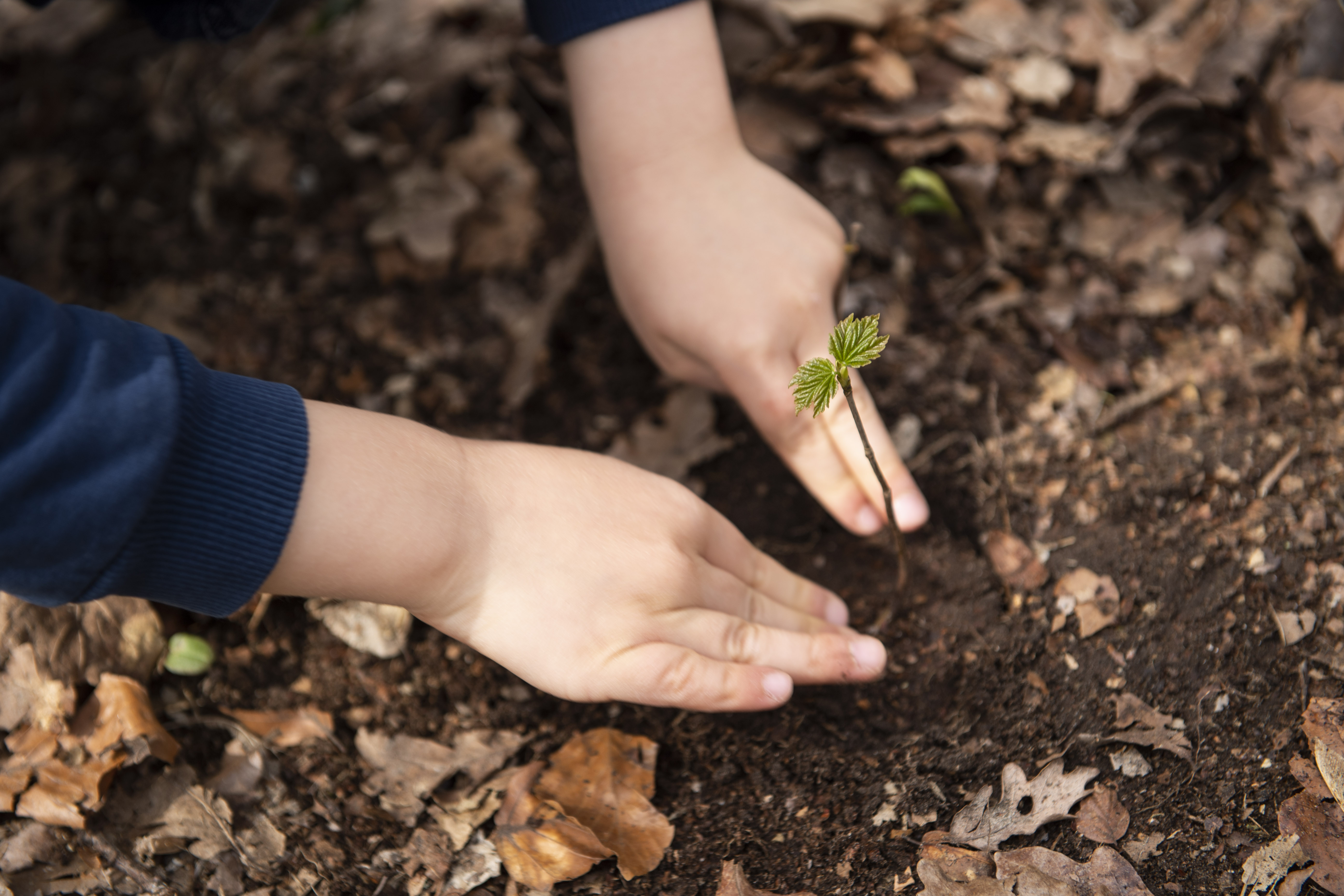 Giornata Mondiale della Terra, ecco gli appuntamenti Plastic Free in Sicilia