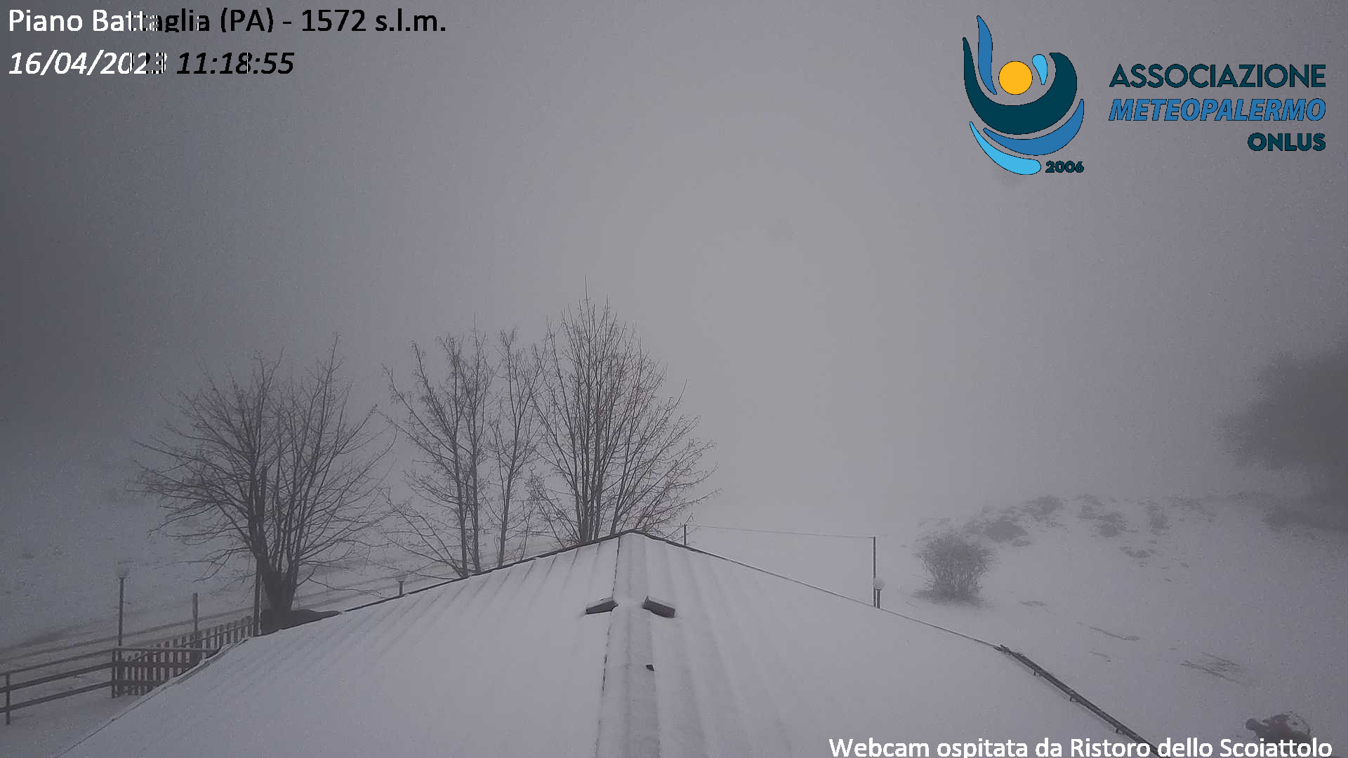 Maltempo nel Palermitano, crolla un albero. Sulle Madonie torna la neve