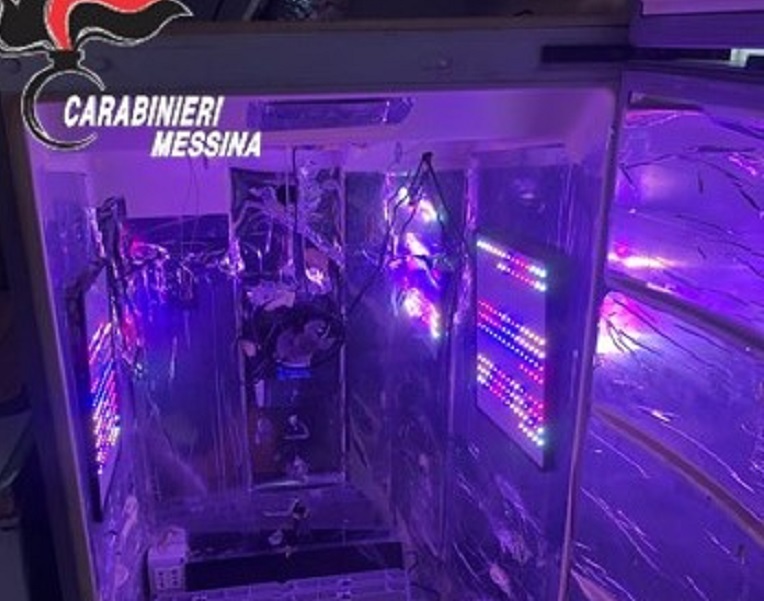 Il frigorifero in disuso “reinventato” e trasformato in serra per la droga: un arresto