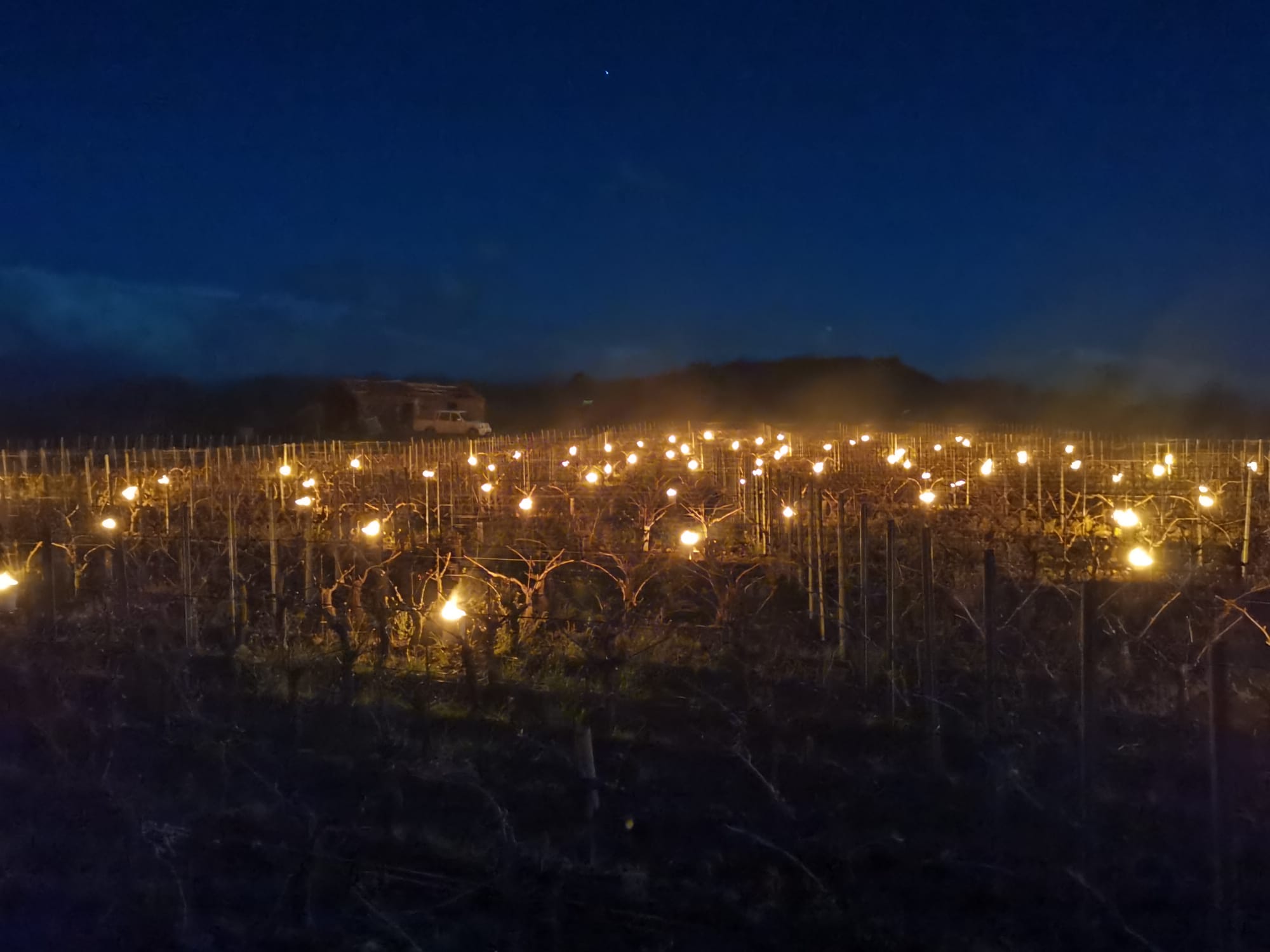 Sull’Etna come in Francia, fuochi in vigna contro le gelate primaverili