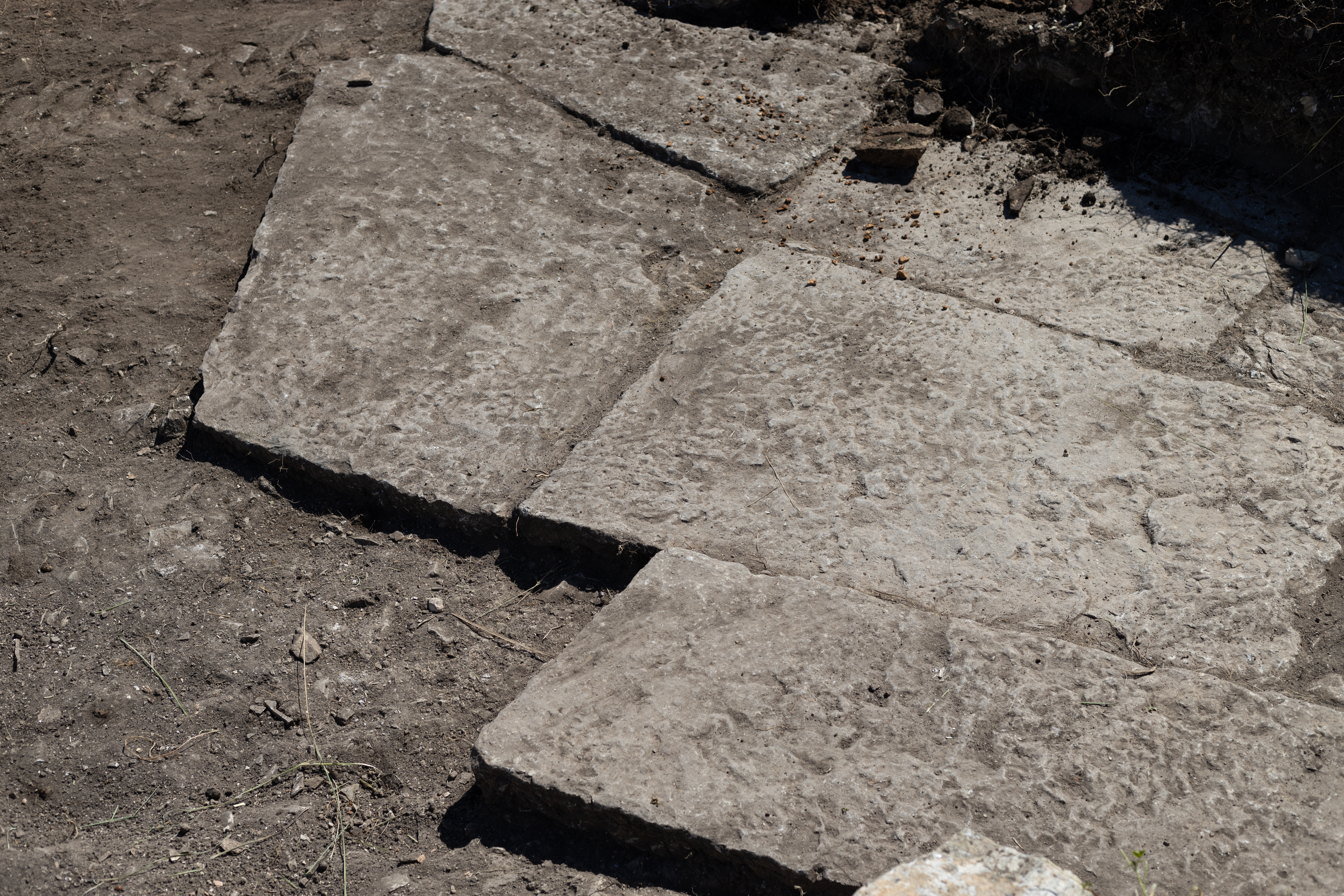 Archeologia, scoperta la strada lastricata dell’antica Segesta