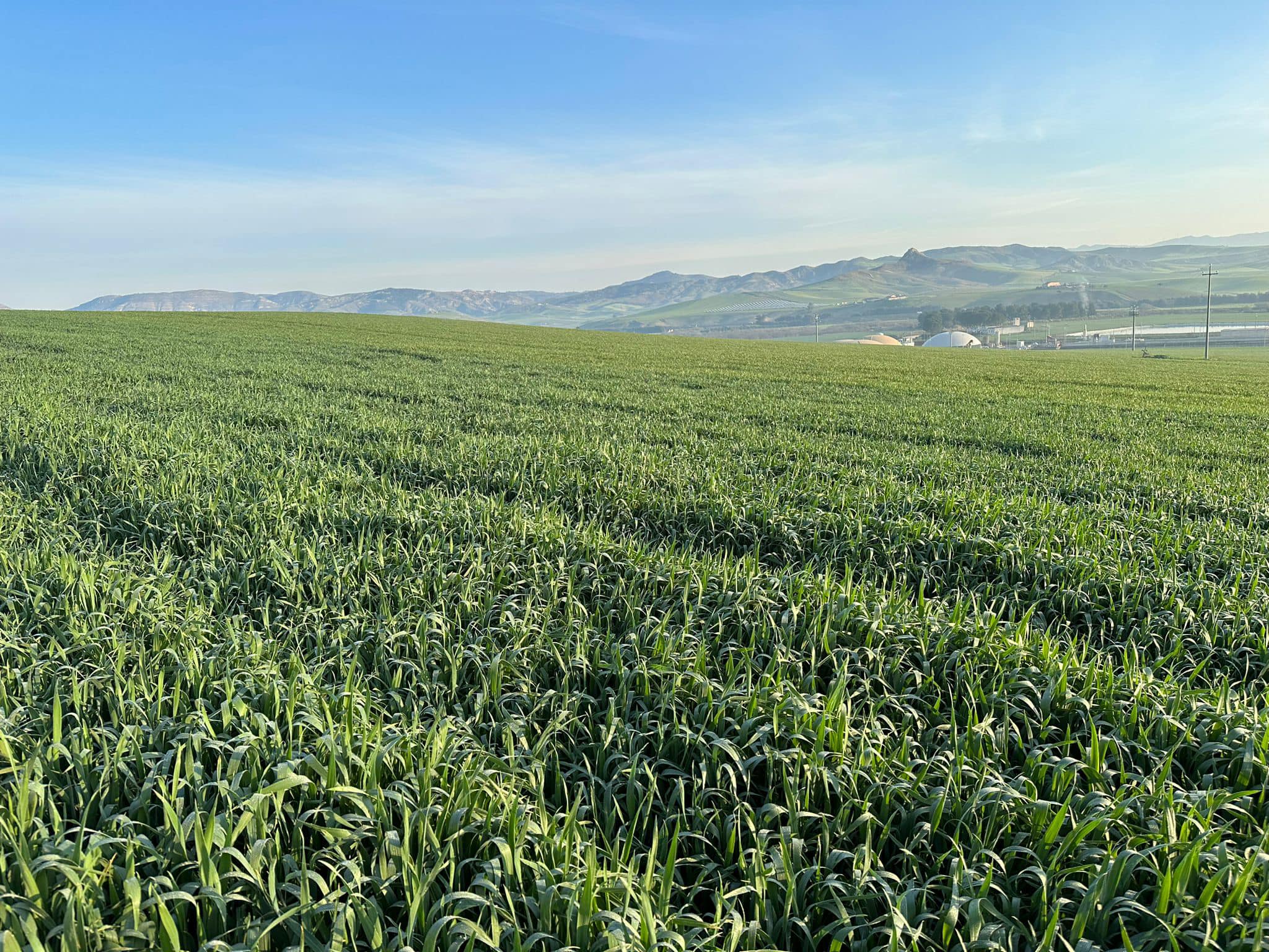 Sicilia, Cia Sicilia Orientale chiede un tavolo di confronto con enti