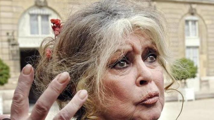 Brigitte Bardot smentisce voci su malattia: “Sto molto bene”
