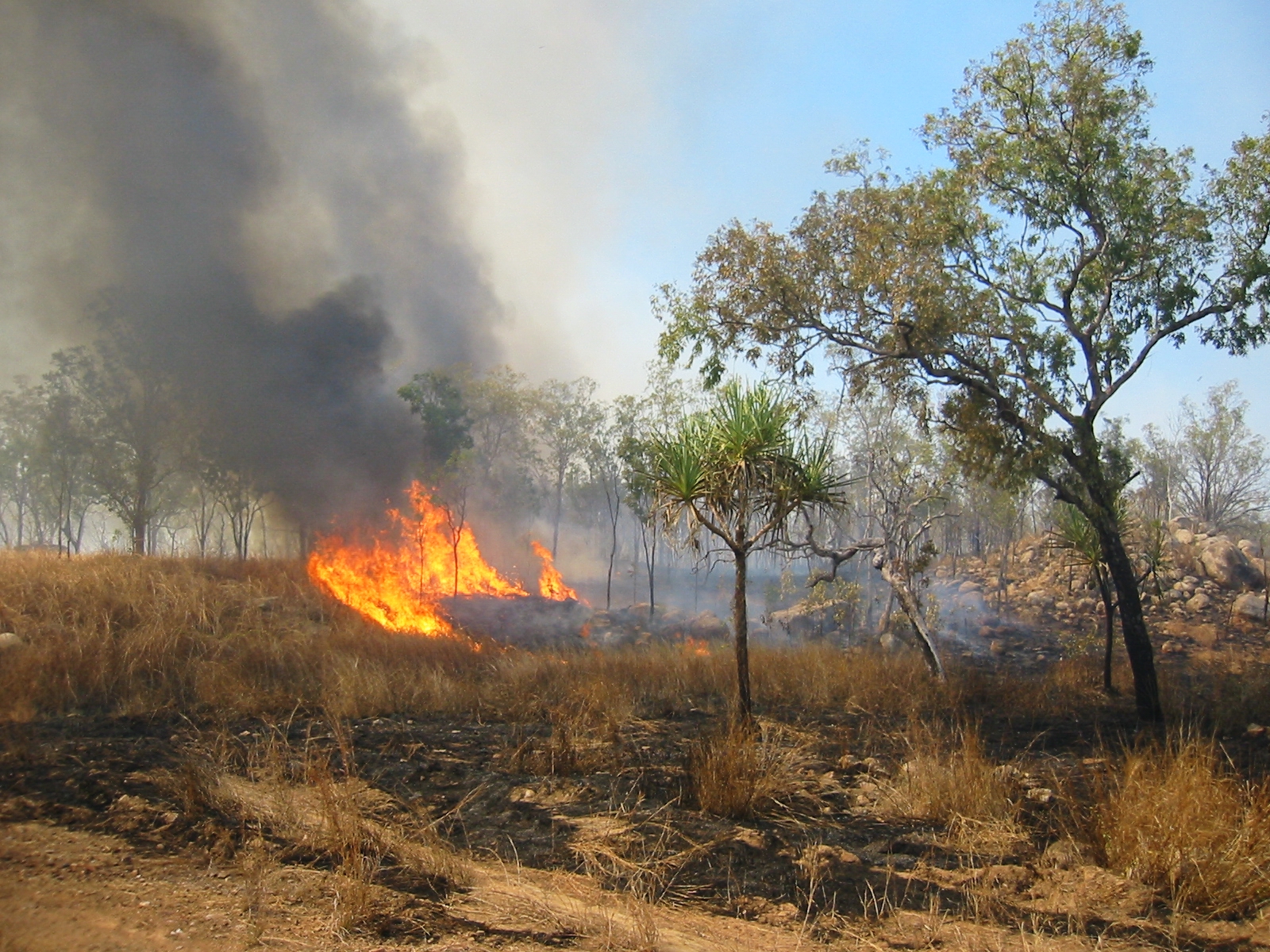 Incendi estivi, il sindaco di Siracusa punta sulla prevenzione
