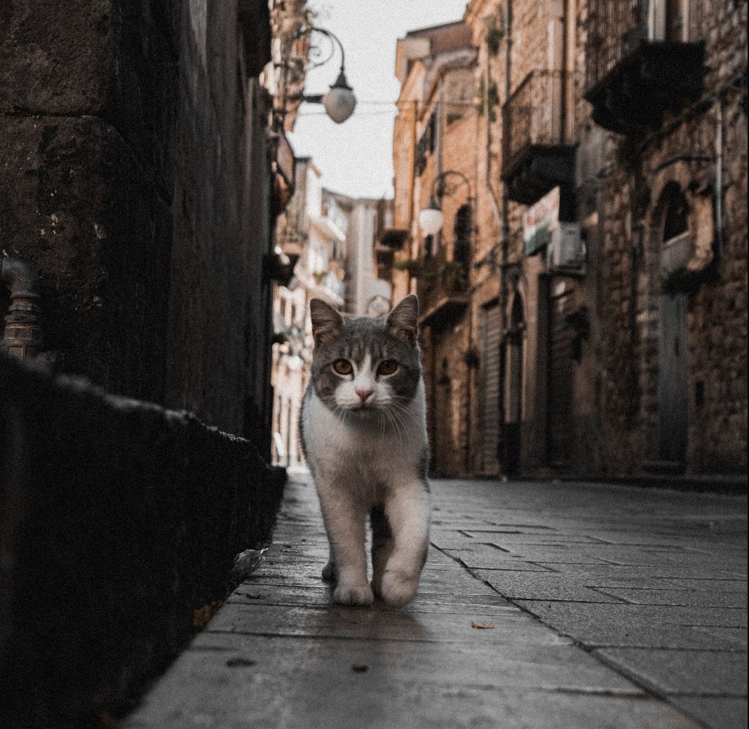 La street photography per rilanciare Centuripe