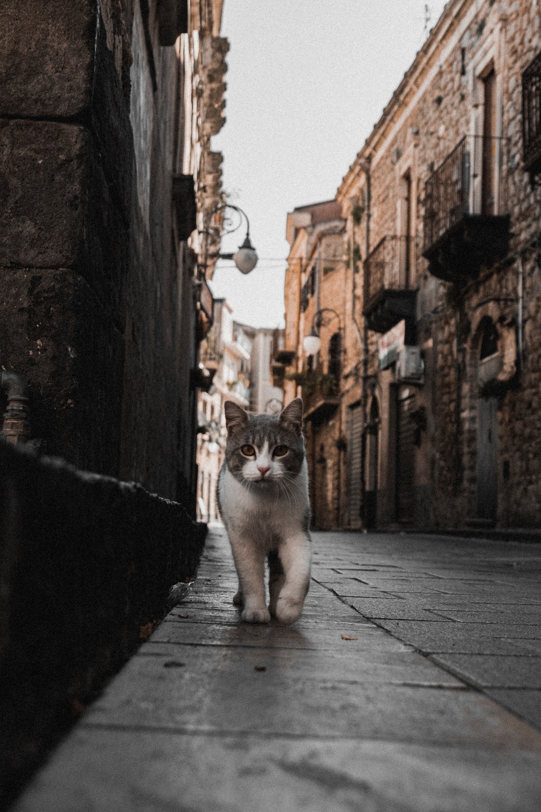 La street photography per rilanciare Centuripe