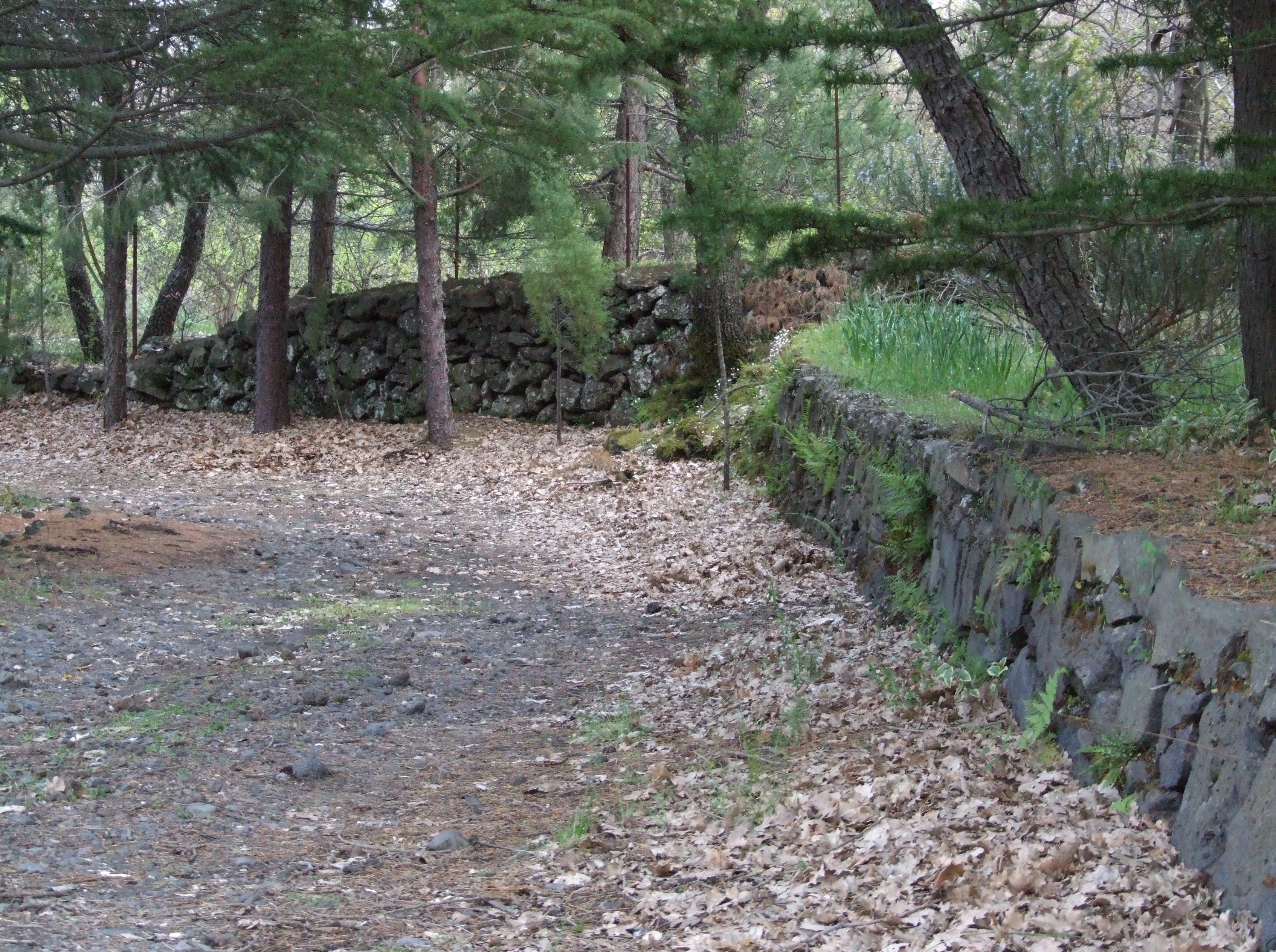 Etna, gare sportive vietate in zona A. Il commissario: “Rispettata la legge”
