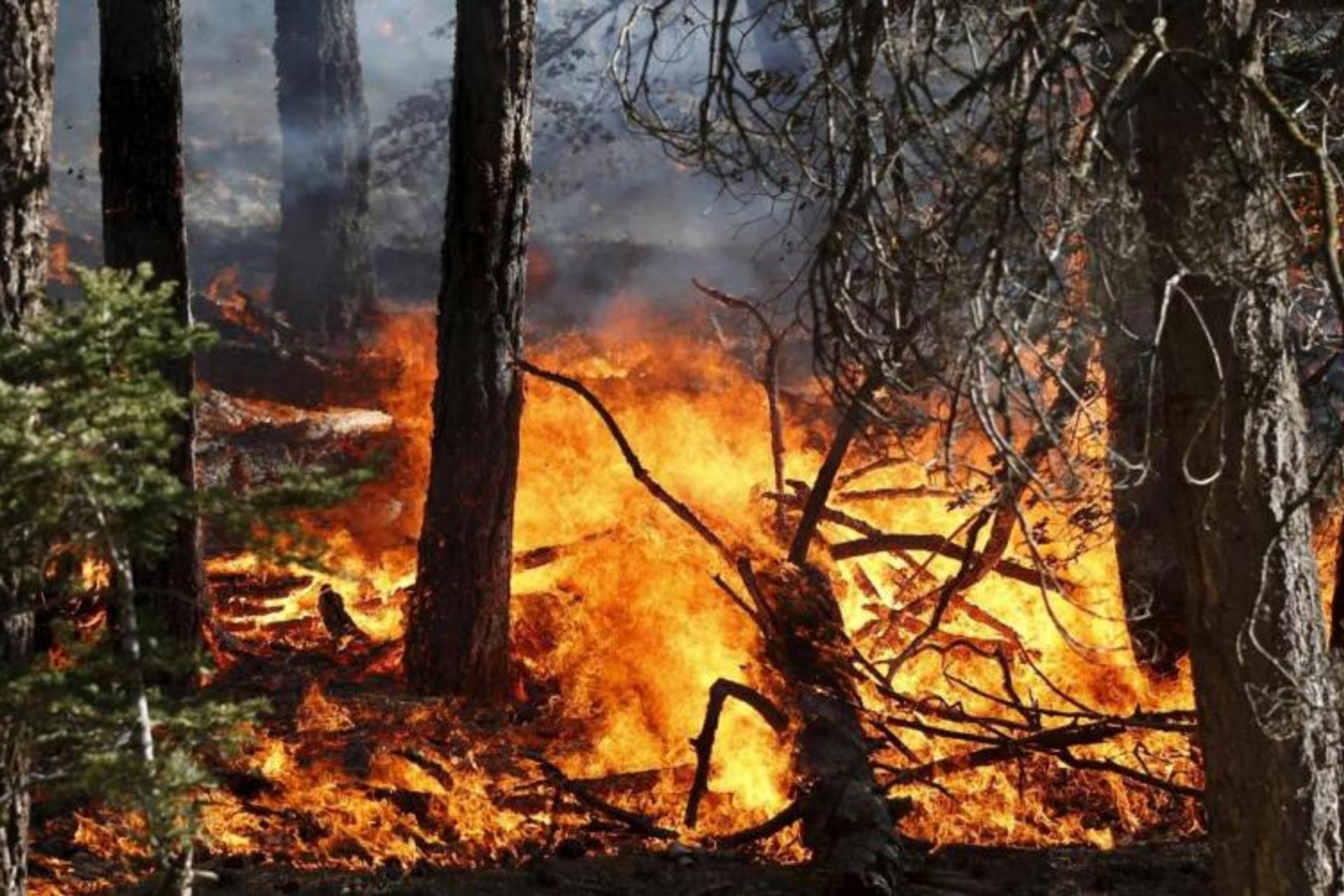 Caltanissetta, vertice istituzionale per la prevenzione degli incendi