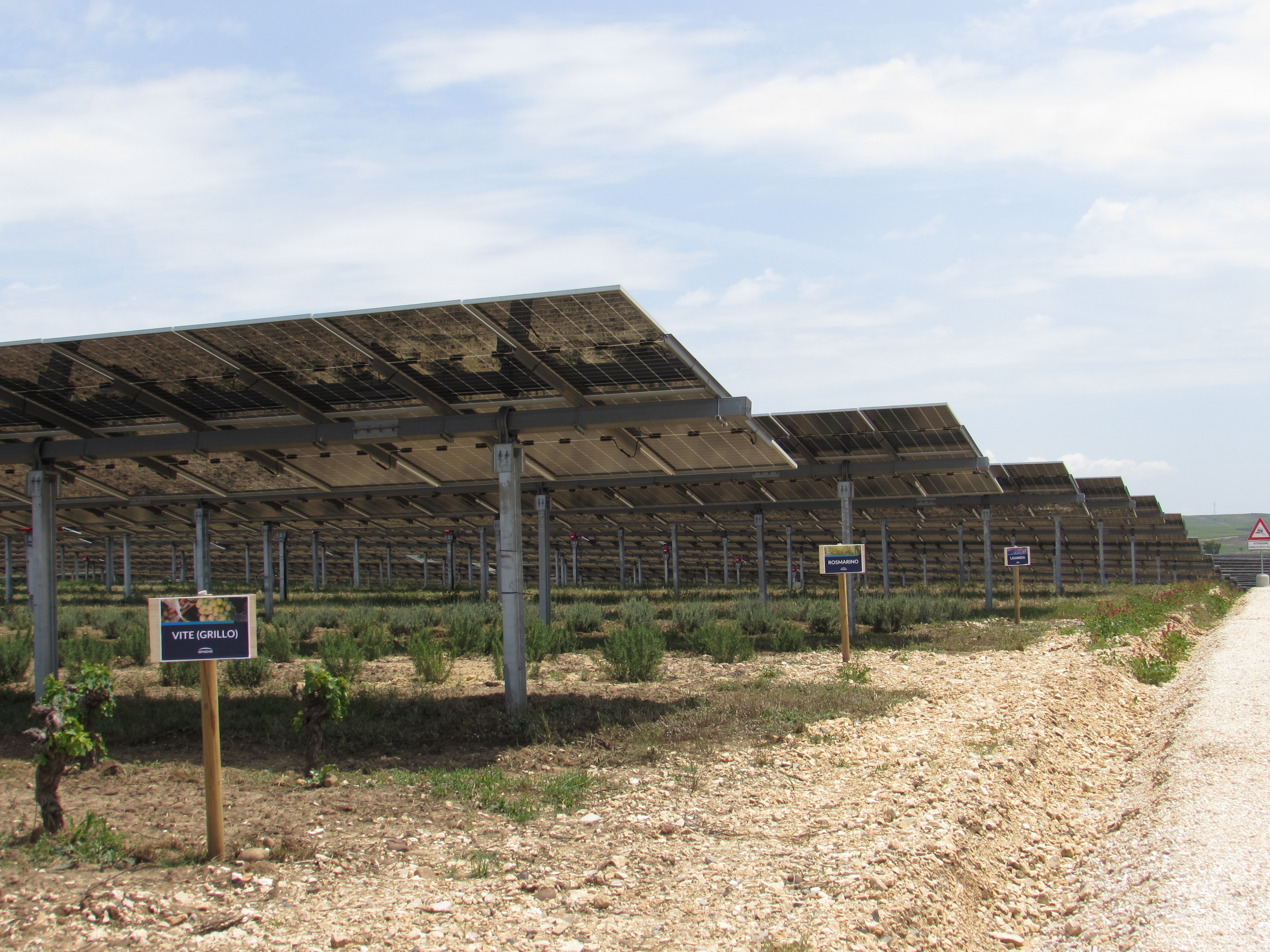 Energia, a Mazara inaugurato il più  grande parco agrivoltaico del Paese