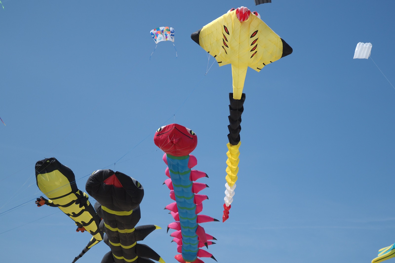 San Vito Lo Capo, tutti con il naso all’insù per il Festival Internazionale degli aquiloni