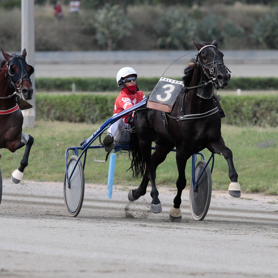 Ippodromo di Palermo, Giuseppe Cordova si aggiudica il centrale con Borislav Mabel