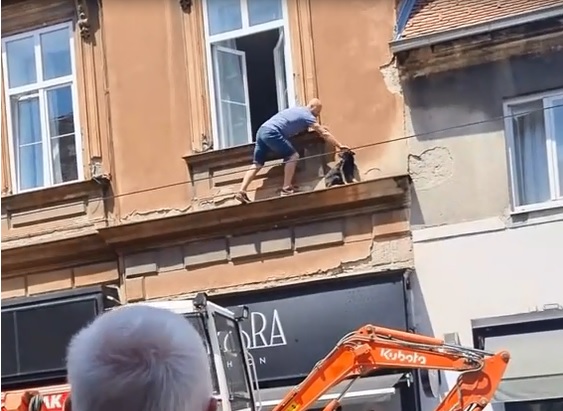 Cane bloccato sul cornicione, uomo lo mette in salvo – VIDEO