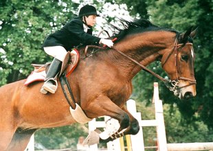 Tagli delle scuole in Sicilia, a Castelvetrano cancellato l’istituto Giuseppe Di Matteo