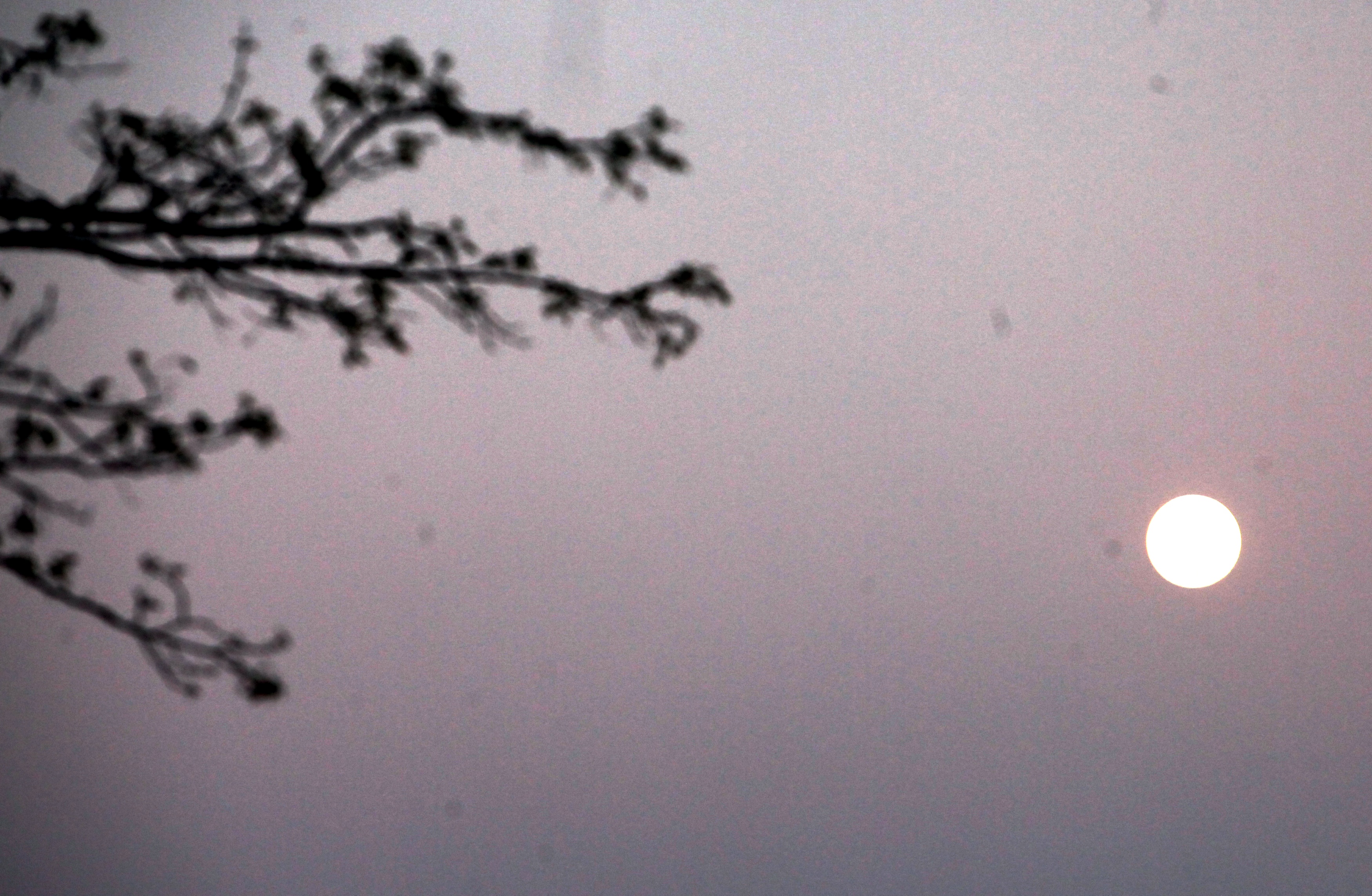 Spazio: Cina punta a portare il primo uomo sulla Luna entro il 2030