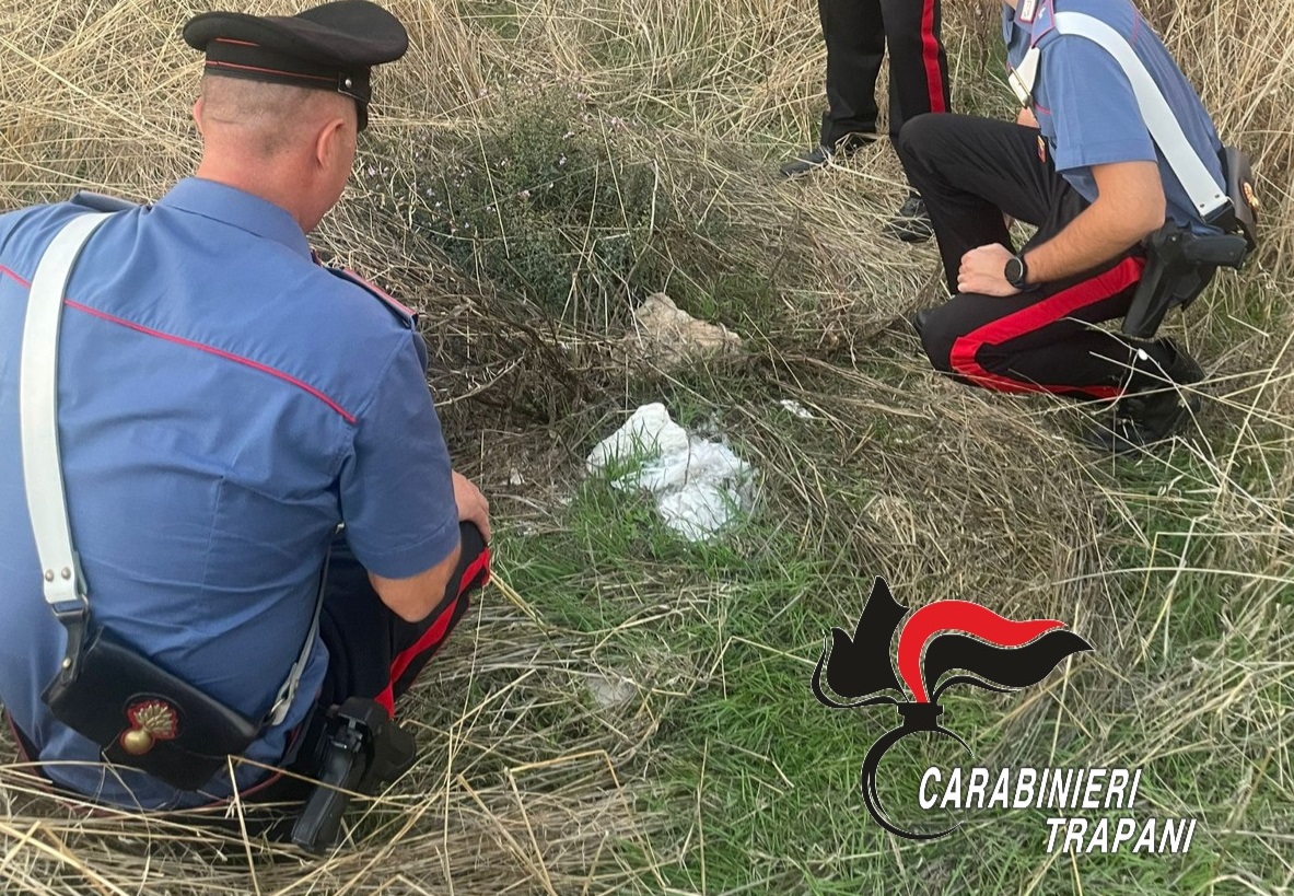 Neonato abbandonato in strada di campagna in Sicilia: baby genitori accusati di tentato omicidio