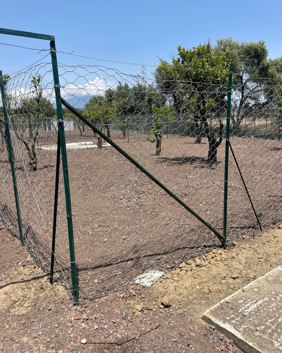 Misterbianco, procedono i lavori: prende forma la prima oasi canina