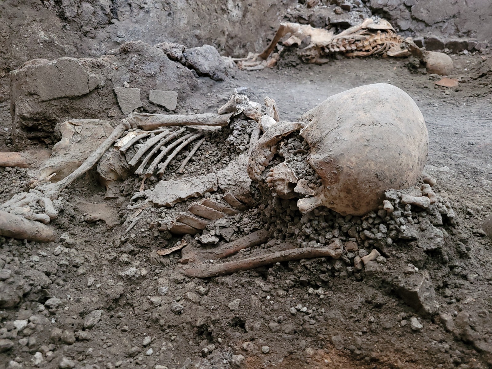 Pompei, trovati 2 scheletri nell’area archeologica: sisma dopo eruzione causa morte