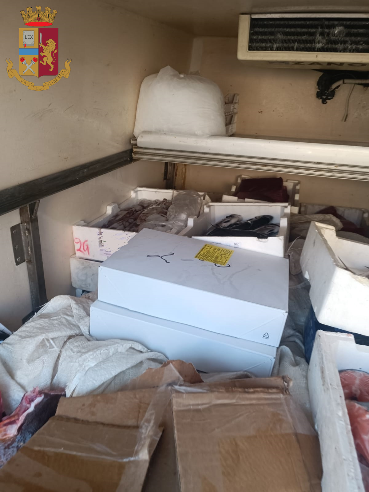 Palermo, sequestrati oltre mille chili di pesce: tutte le sanzioni