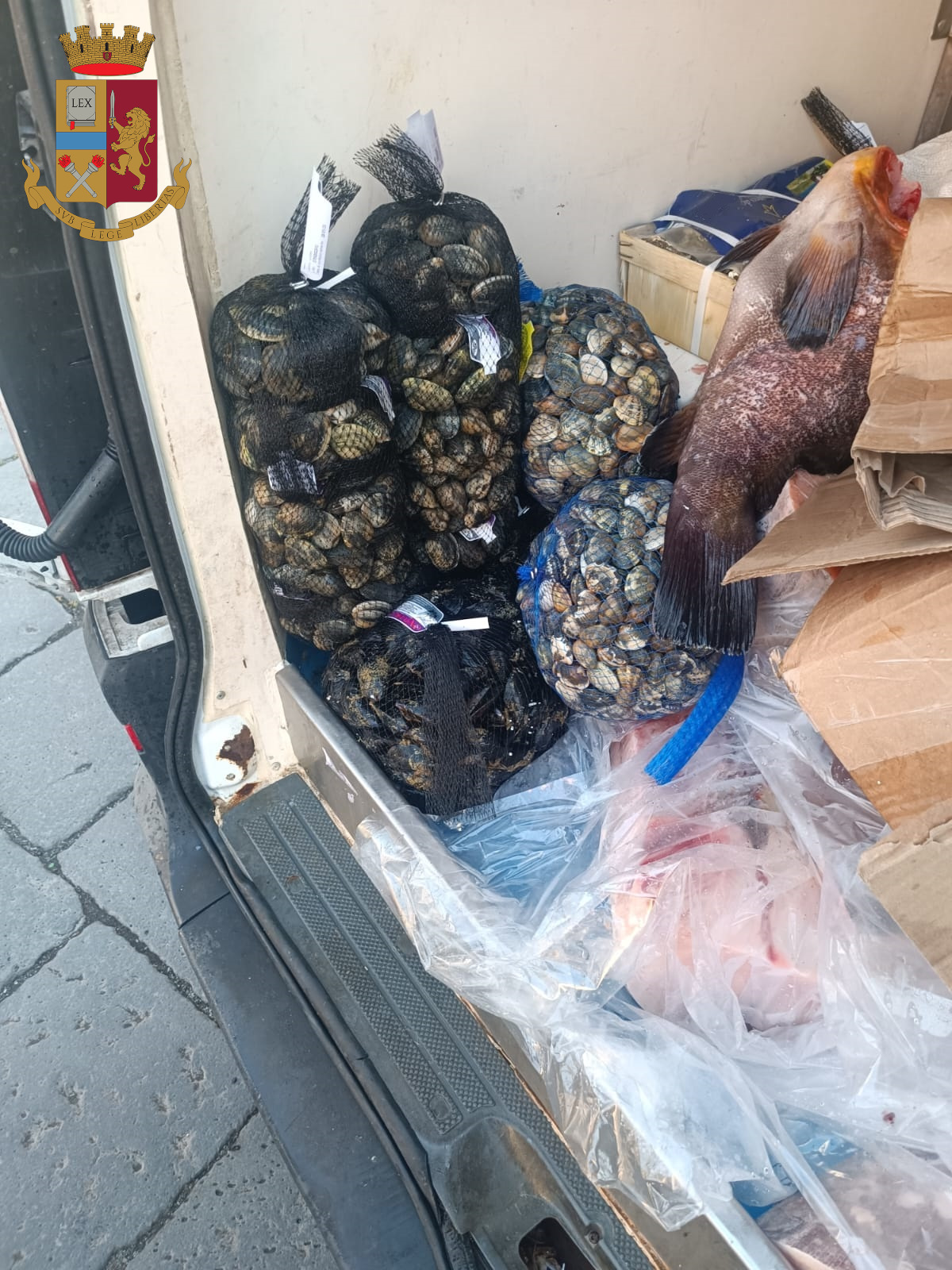 Sequestro di pesce dopo controllo sulla Statale 114 
