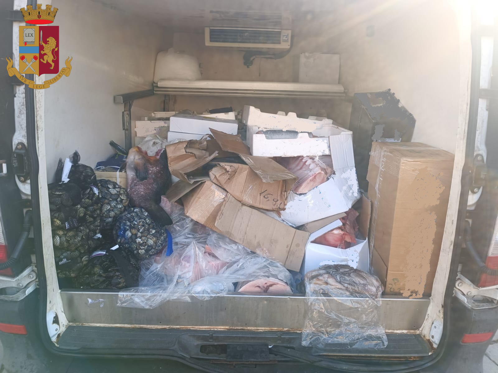 Pesce in pessimo stato sul furgone, maxi-sequestro e sanzione sulla Statale 114