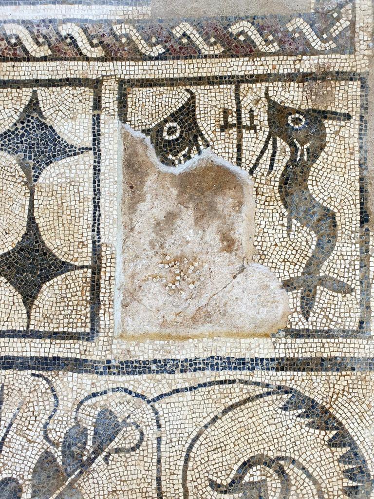 Realmonte, riapre al pubblico la villa romana di Durrueli