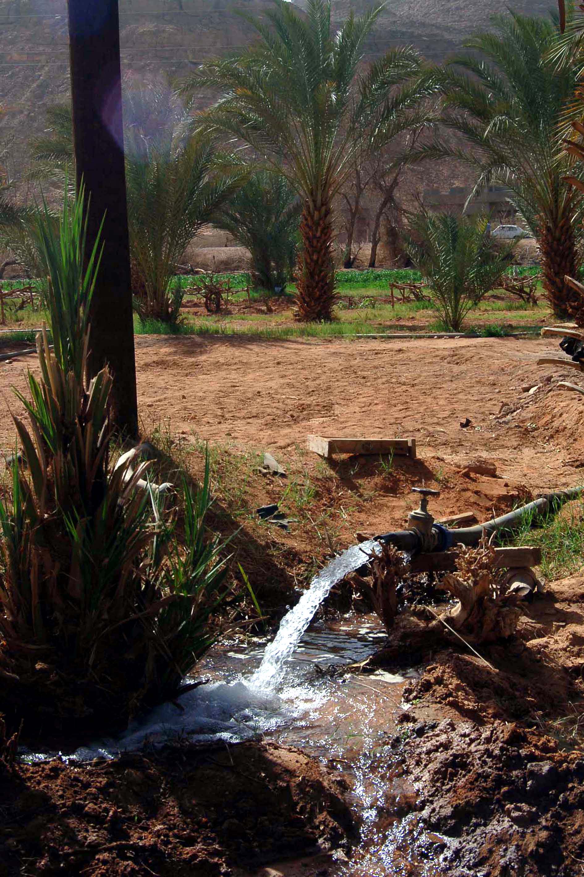 Sicilia, Legambiente: “Da oggi isola inadempiente su uso acque”