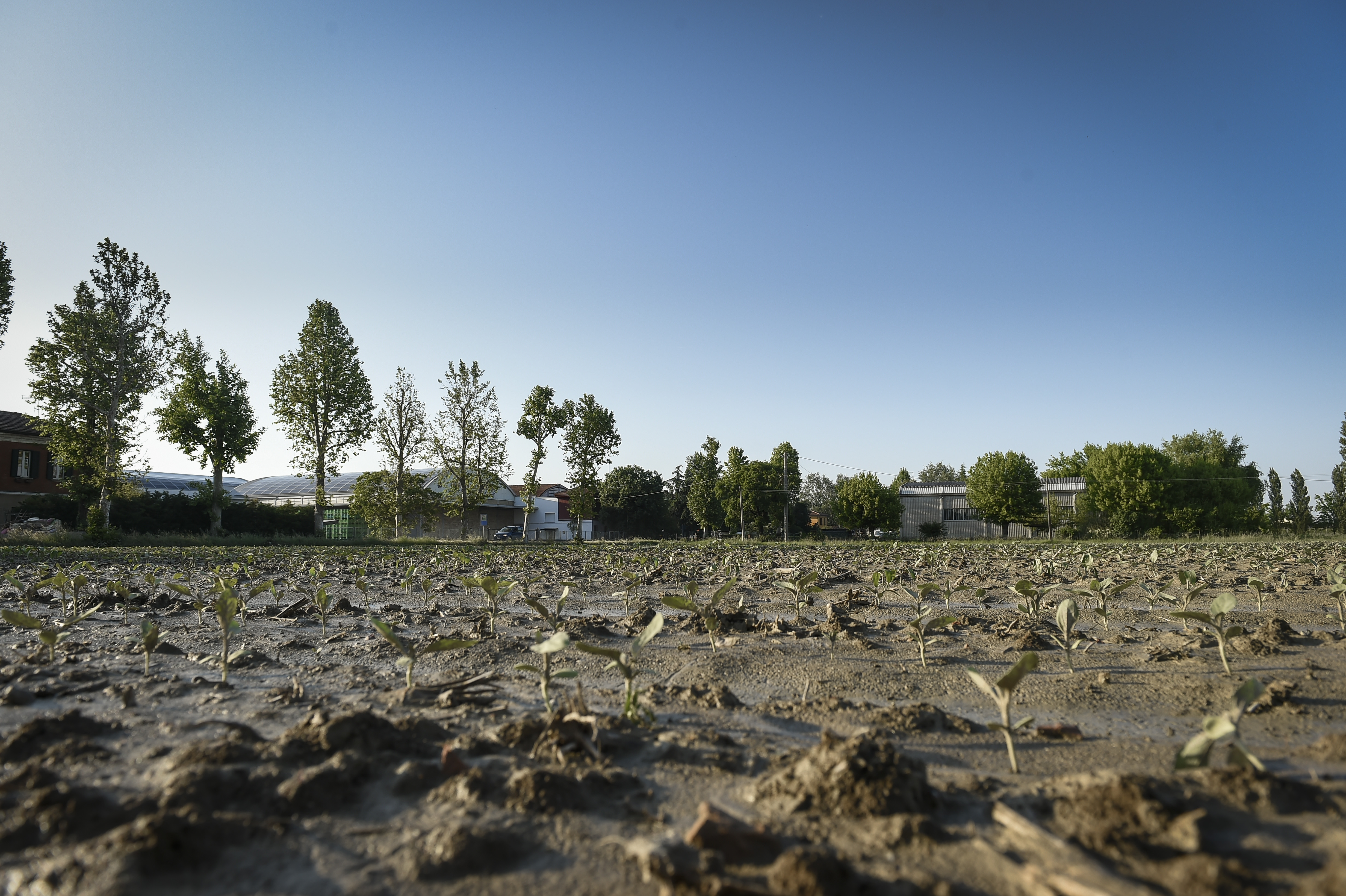 Maltempo: Coldiretti, 19 tempeste in un giorno, Sos danni