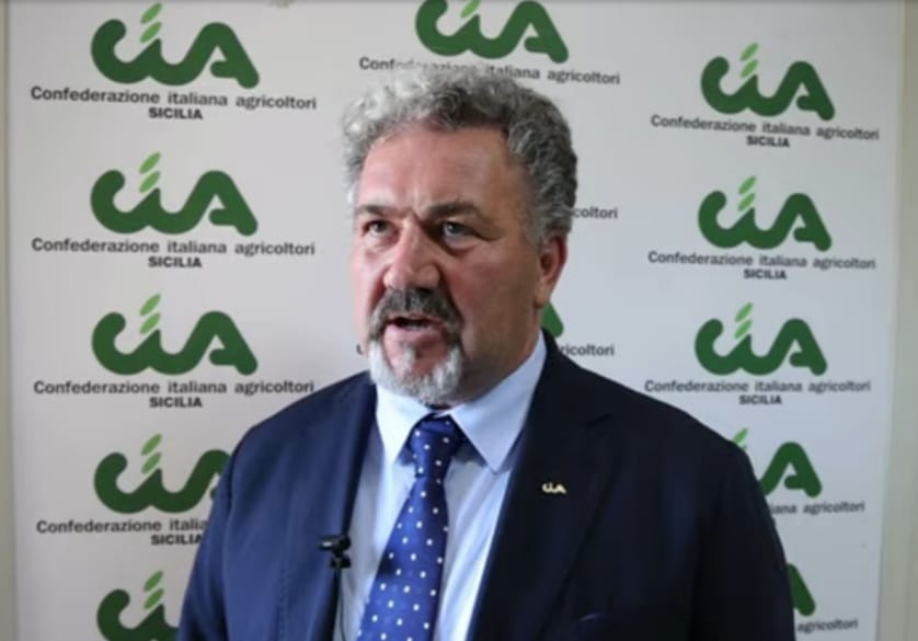 Maltempo, Scardino (Cia Sicilia): “Misure legislative e fondi per ristoro danni”