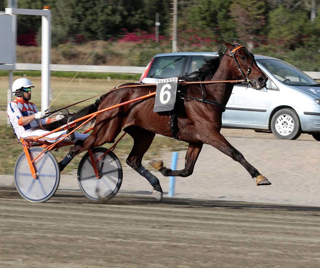 Ippodromo Palermo, Gaspare Lo Verde fa suo il centrale: trionfo di Ballo tra gentlemen