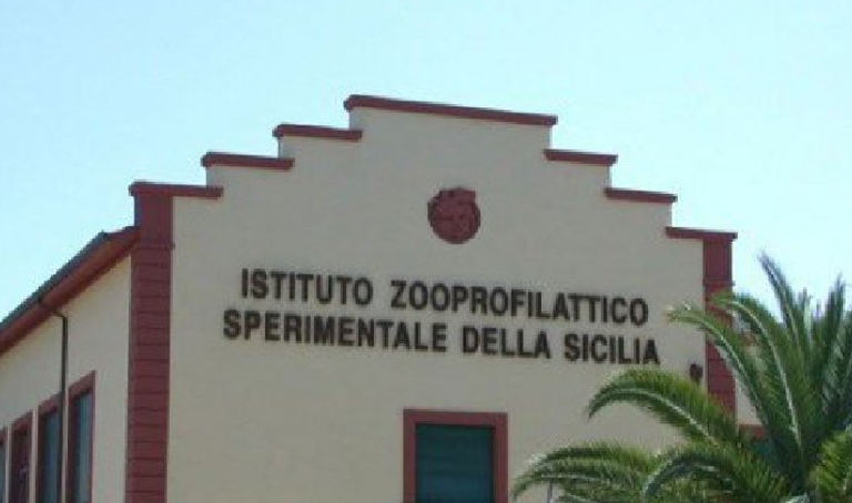 Lavoro, Istituto Zooprofilattico di Palermo cerca collaboratori tecnici: ecco come candidarsi